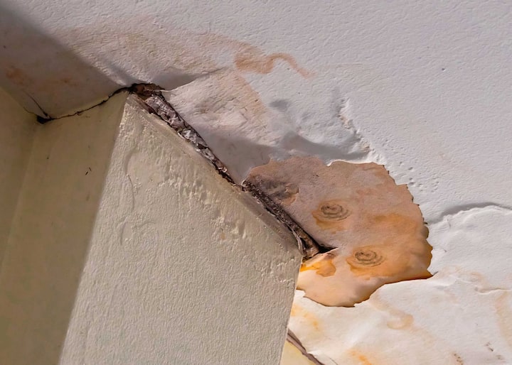 Water-Damage-Mold-Removal water damage repair boynton beach